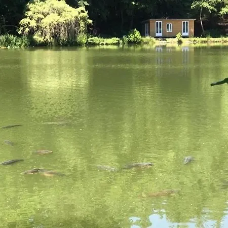 Etang Nicole Ger (Manche)